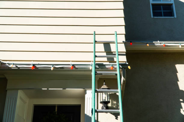 Affordable Siding Repair and Maintenance Services in Meridian, ID